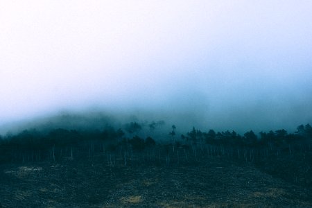 Life, Hipster, Cloudy