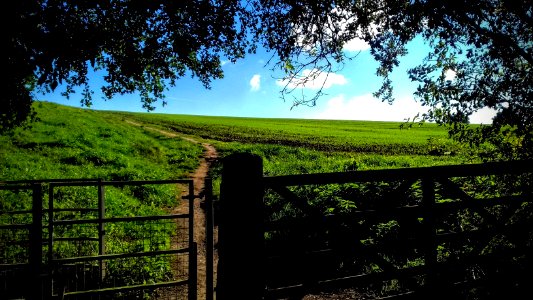 Davenham, Northwich, Engl photo