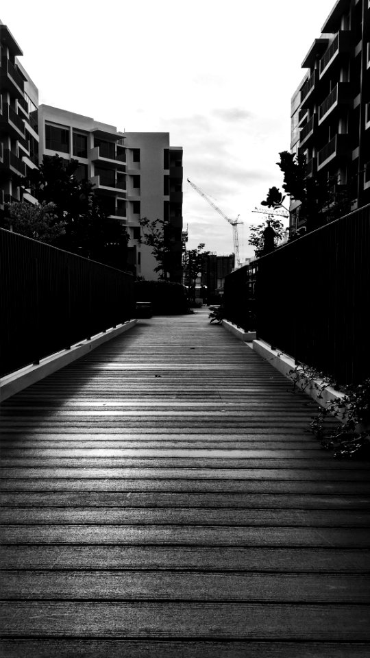 Singapore, Flora dr, Architecture