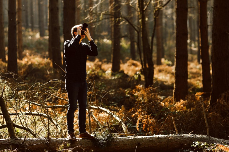 person surrounded by trees and capturing photo
