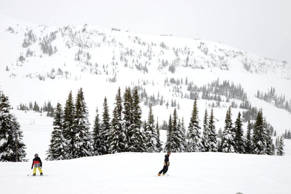 Whistler mountain, Whistler, Canada