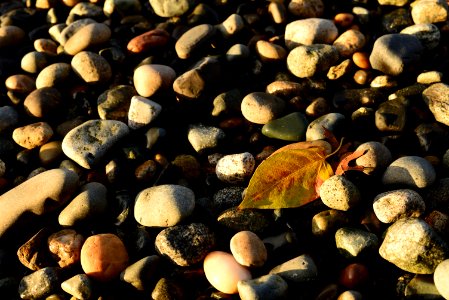 Wreck beach, Vancouver, Canada photo