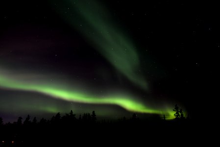 silhouette of trees under green aurora photo