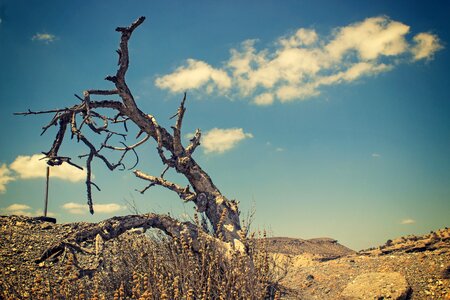 Mountain nature sky photo