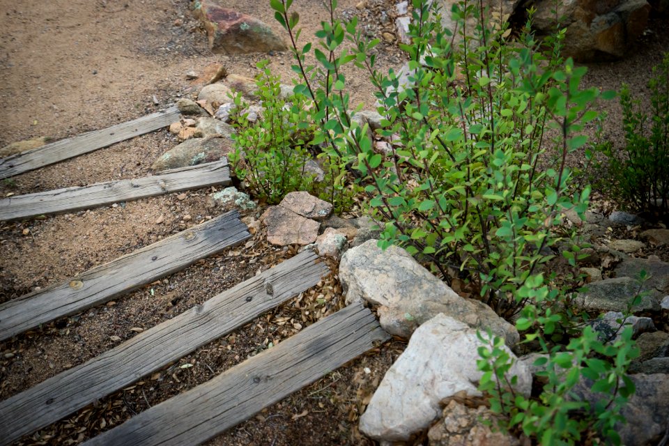 Prescott, United states, Woodl