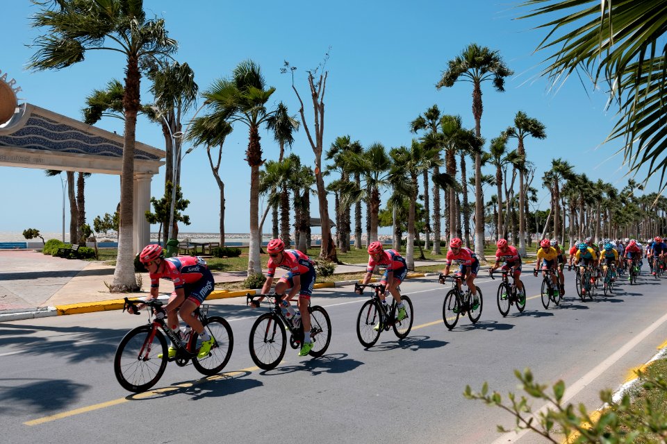 group of bicycle riders on road