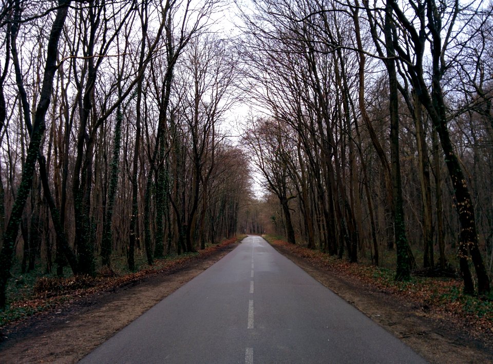 Gargenville, Ledefrance, France