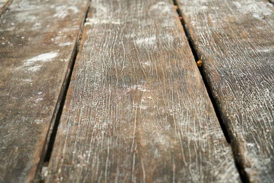 Texture background pattern
