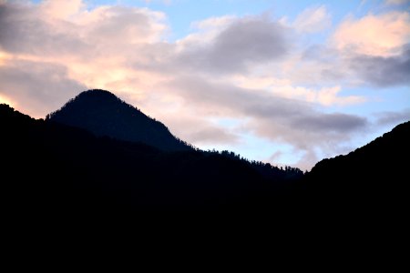 Silhouette, Evening, Trees