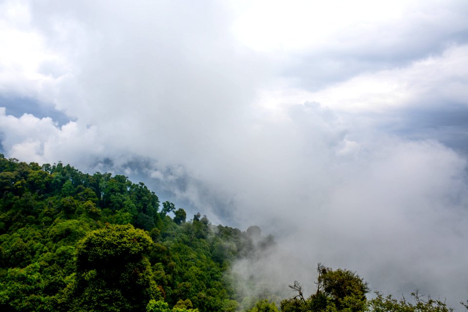 aerial photography of foggy mountain