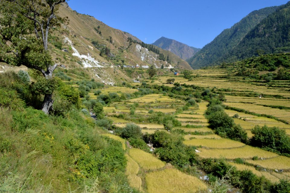 Nepal, Shreekot, Trekking