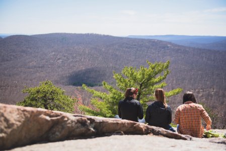 women sits on ground near green trees photo