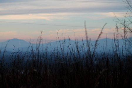 Nature, Virginia, Sunset
