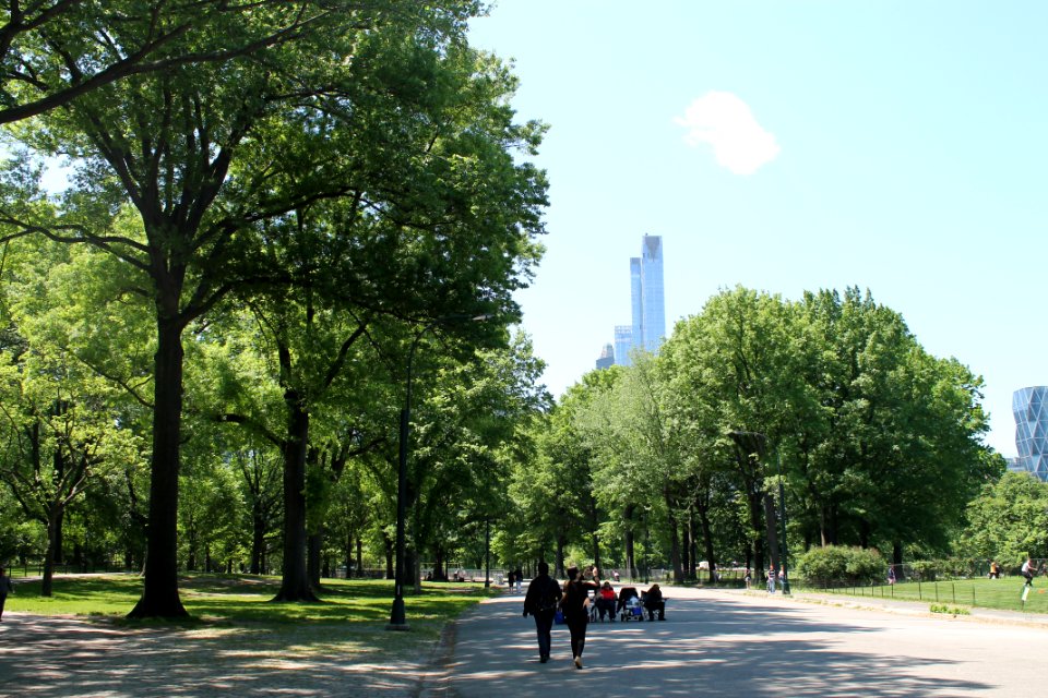New york, Summer, Usa