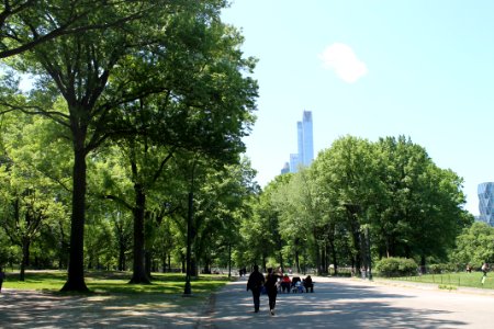 New york, Summer, Usa
