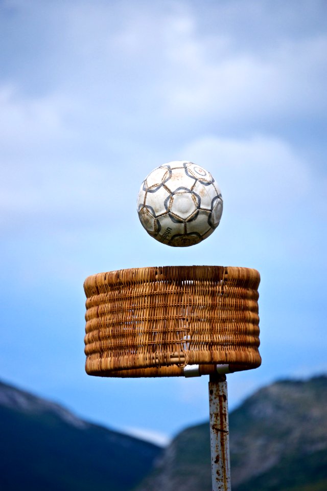 Tirana county, Albania, Game