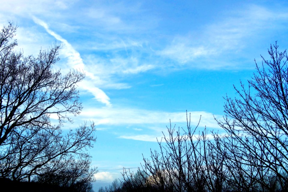 Cloud, Blue, Sky