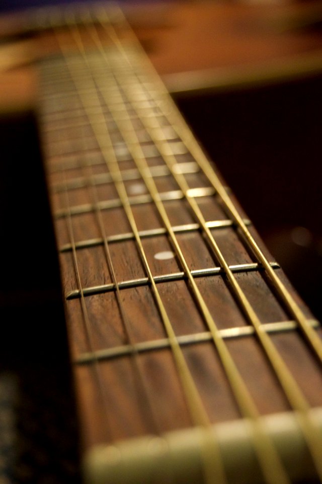 Guitarist, Guitar string, Guitar