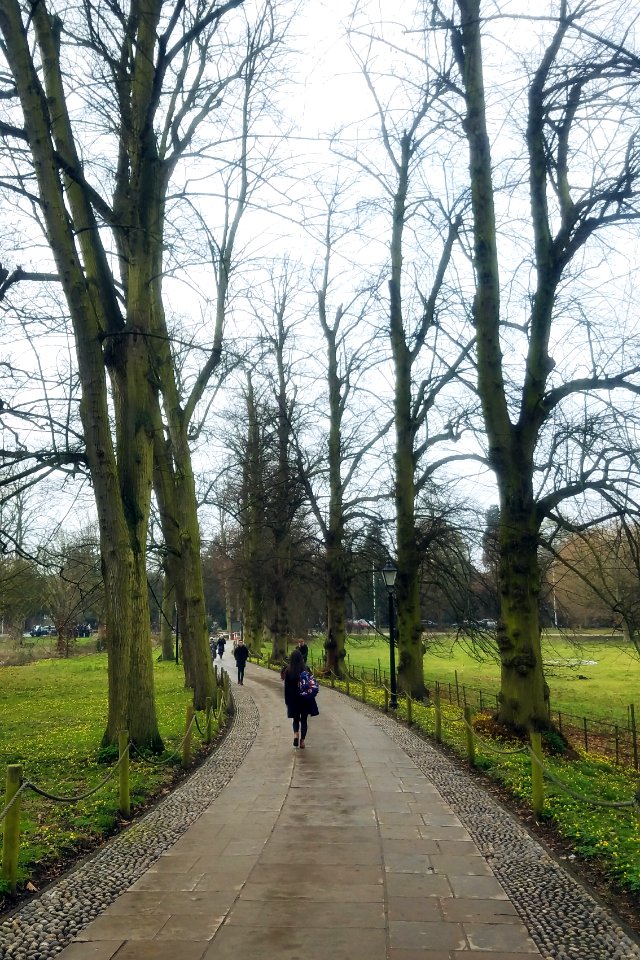 University of cambridge, Cambridge, United kingdom