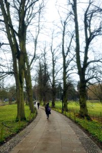 University of cambridge, Cambridge, United kingdom photo