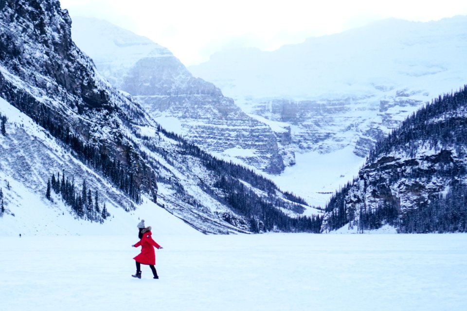Lake louise, Canada, Canada goose