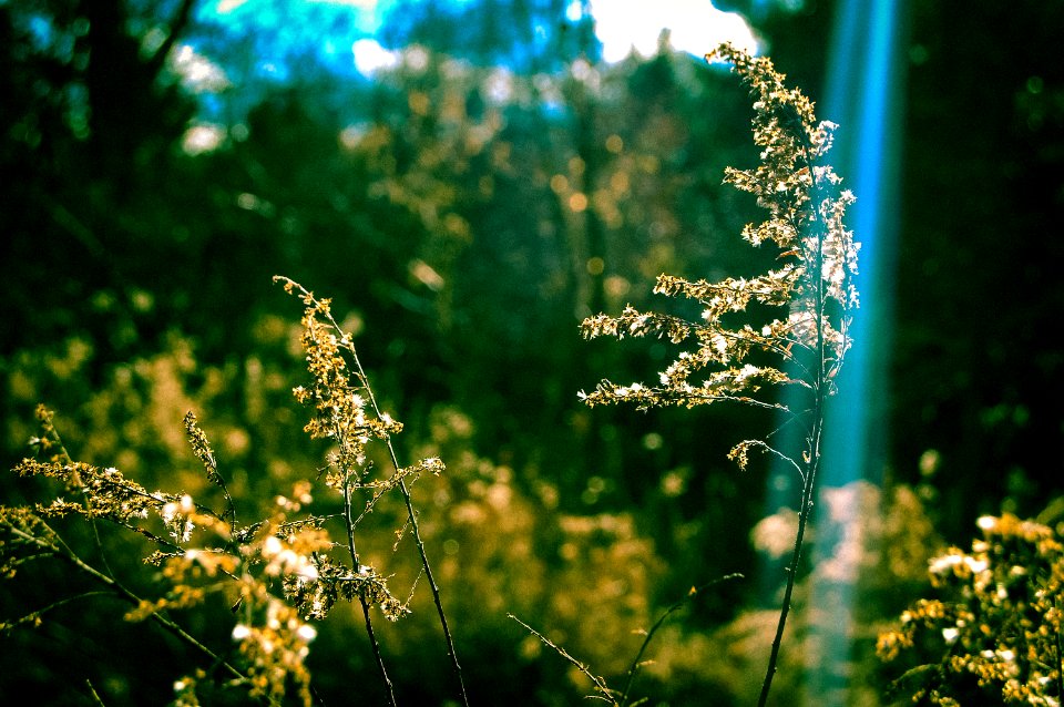 Walnut woods metro park, Groveport, United states