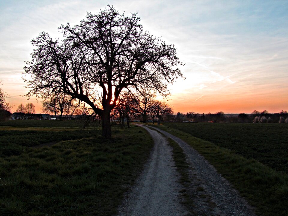 Landscape sunset twilight