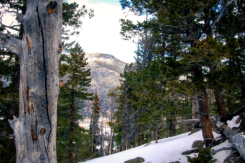 Rocky mountain national park, United states, Colorado