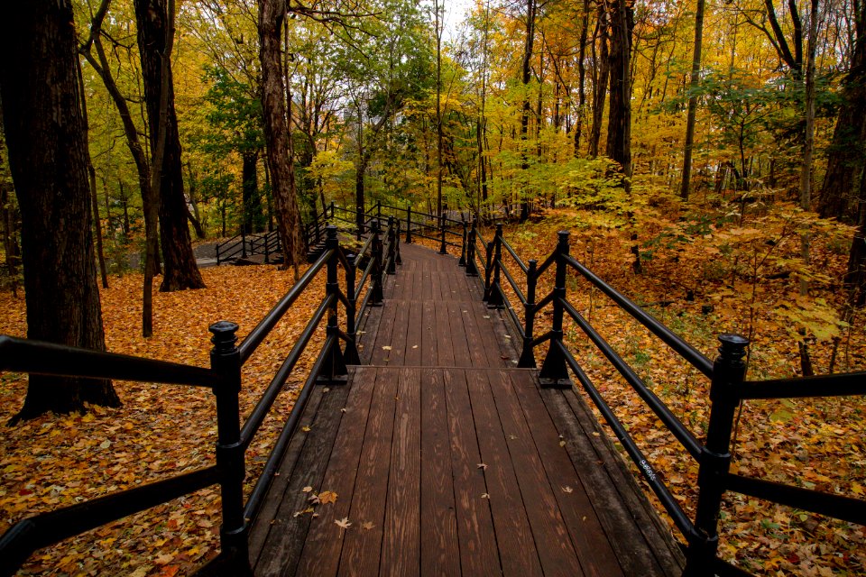 Montreal, Montroyal, Canada