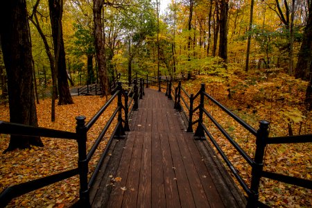 Montreal, Montroyal, Canada