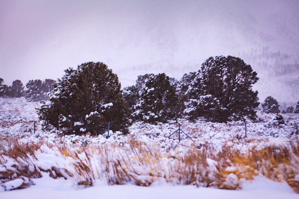 June lake, United states, Winter