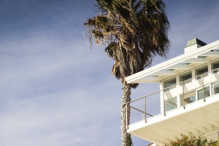 green leaf tree beside balcony of house photo