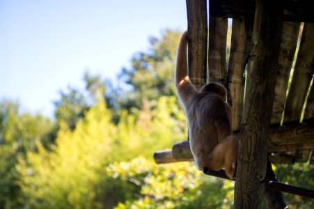 Fort worth zoo, Fort worth, United states