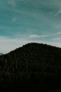 aerial photo of mountain with trees photo