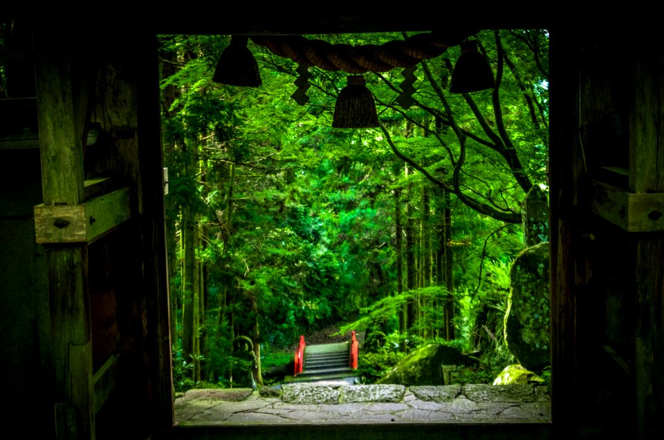 Japan, Futagoji temple, Kunisakishi