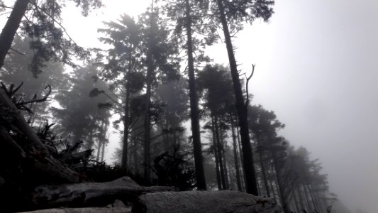 Olympic national park, Port angeles, United states