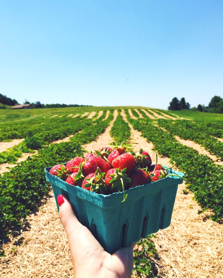 Shoreham, Vermont, United states