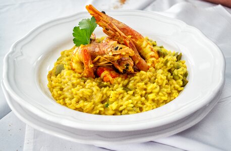 Shrimps prawns sea food