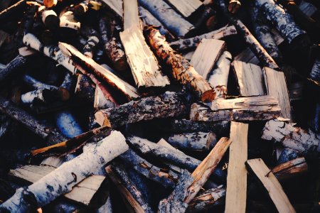 stock of firewoods photo