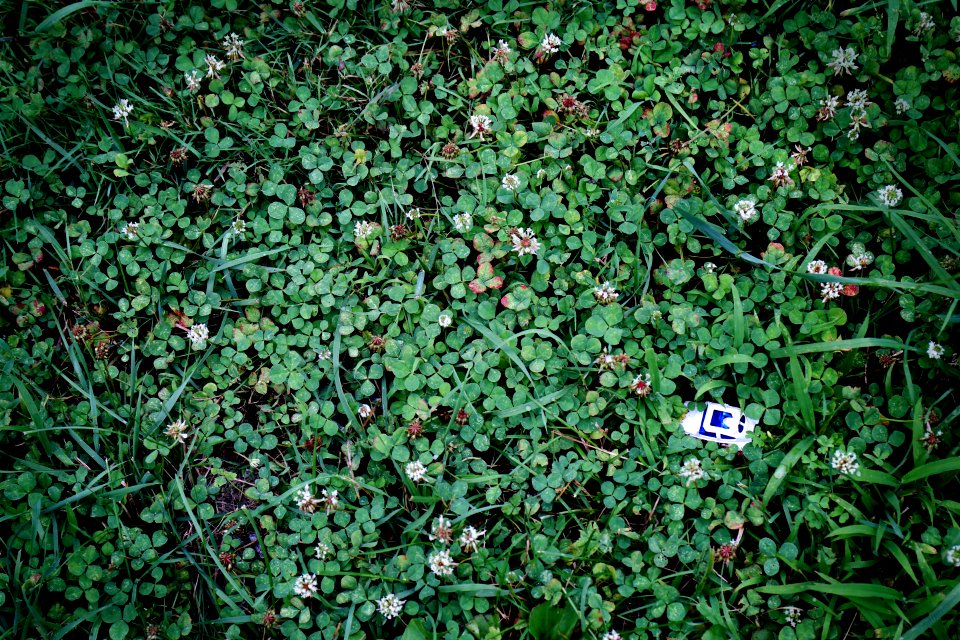 Limington, United states, Toy