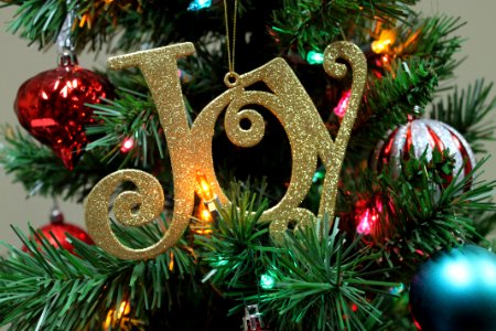 Celebrate, Lights, Joy