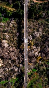 Bonsall, San luis rey bridge, California