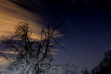 Palomar mountain, United states, Blur photo