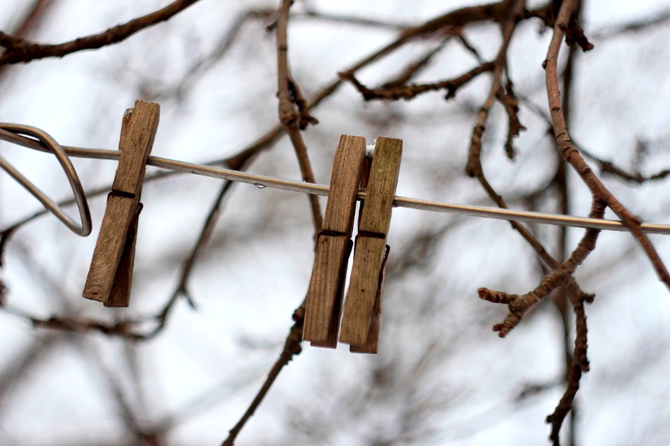 Ukraine, Clothespin, Peg