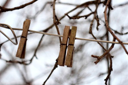 Ukraine, Clothespin, Peg