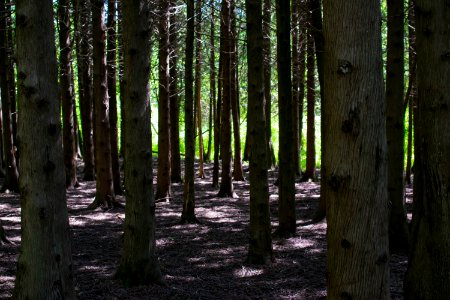 Kettle moraine state forest, United states, Moraine photo