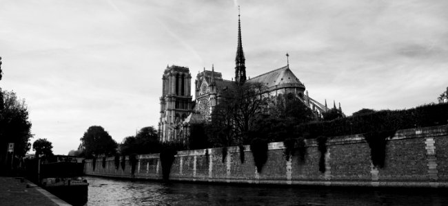 Cath drale notre dame de paris, Paris, France