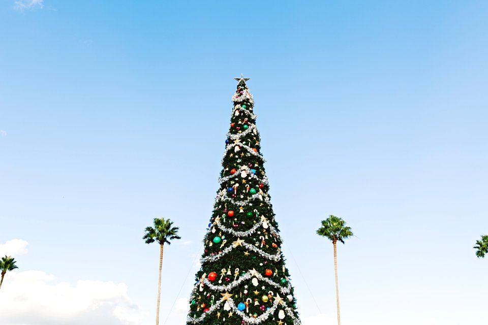 Christmas tree