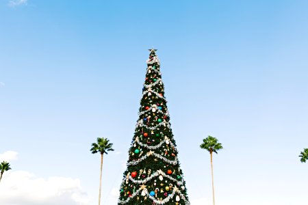 Christmas tree
