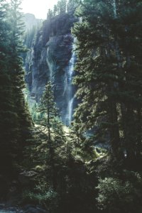 time lapse photo of falls on forest trees photo